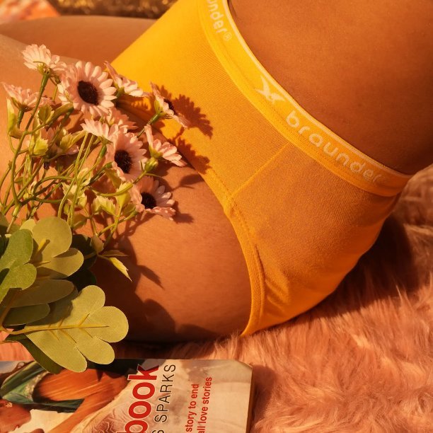 Ladies Brief  – Mango