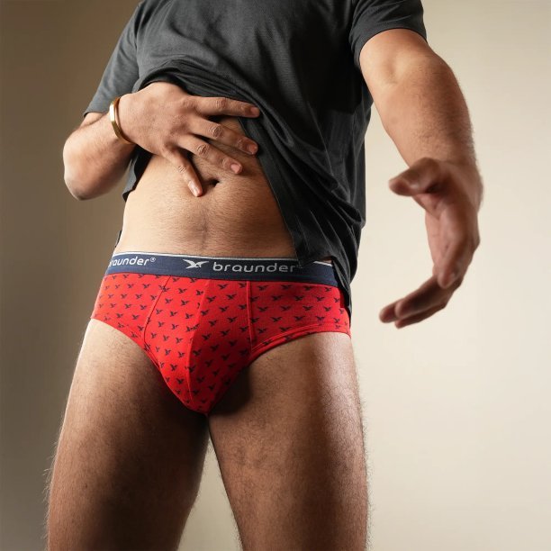 Men's Brief - Premium Brand pigeon